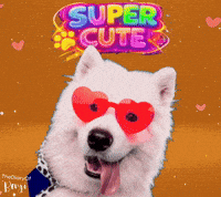 Heart Cutie GIF