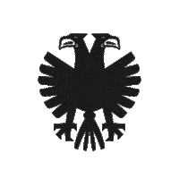 Eagles Sticker by Vitesse Arnhem