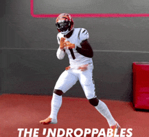 Chase Un GIF by The Undroppables