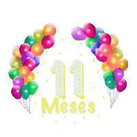 Festa 11 Meses Sticker