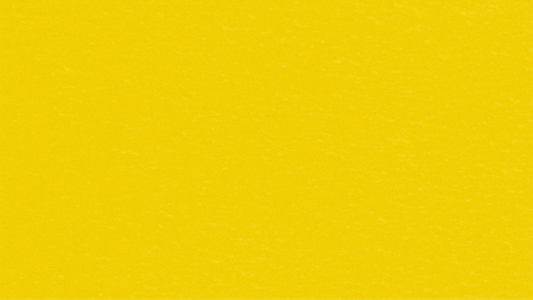 Limonce giphygifmaker GIF