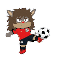 World Cup Football Sticker