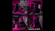 Black Cat Good Luck GIF