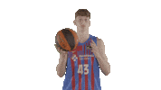 Fc Barcelona Basketball Sticker by ACB