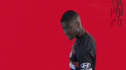western sydney wanderers football GIF by wswanderersfc