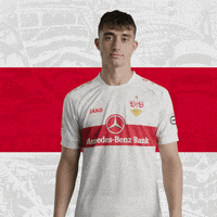 The End Mic Drop GIF by VfB Stuttgart