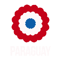 paraguay py Sticker by Ideals Interactive Agency