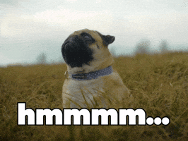 Confused Let Me Think GIF by Sealed With A GIF