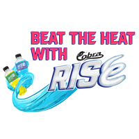 Cobra Rise Sticker by Rise Energy Pop