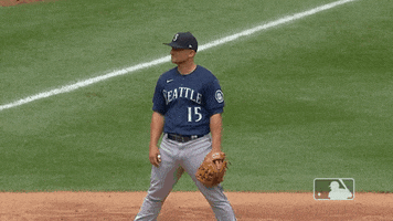 Regular Season Sport GIF by MLB