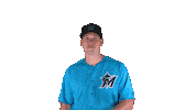 miami marlins Sticker by MLB