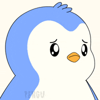 Penguin No GIF by Pudgy Penguins