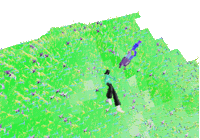 Haengra Sticker