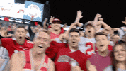 College Football GIF by Ohio State Athletics