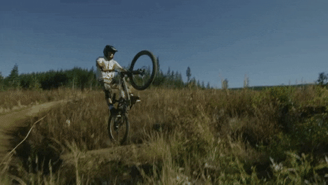 brianzig2023 giphygifmaker GIF