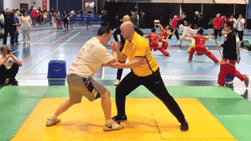 Martial Arts Taichi GIF by Shoreline Tai Chi