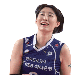 Volleyball Good Job Sticker by kovopr