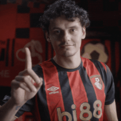 Premier League No GIF by AFC Bournemouth