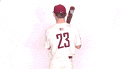 Baseball Roll Pards GIF by Lafayette Leopards