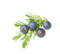 Ready To Drink Sticker by IMPERIAL BLUE