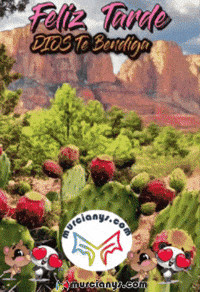 Amigos Llena GIF by Murcianys LLC