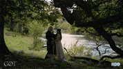 gameofthrones game of thrones hbo season 7 finale GIF