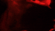 Scream Drown GIF by d4vd