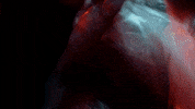 Scream Drown GIF by d4vd