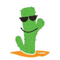 summer california Sticker by Canon