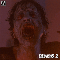 Angry Lamberto Bava GIF by Arrow Video