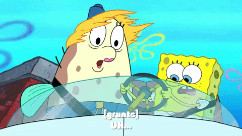 season 9 little yellow book GIF by SpongeBob SquarePants