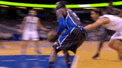 new york knicks block GIF