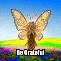 Wisdom Appreciation GIF by BuddhaFlyJourney