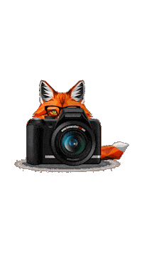 Fotografierbar wedding photography flash fotograf Sticker