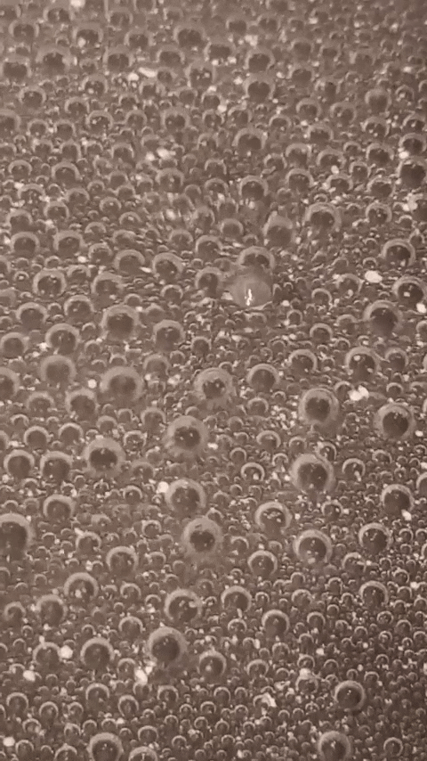 Simongip giphyupload GIF