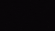 GIF by Sub Pop Records