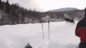 GIF by Demic
