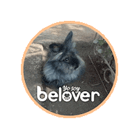 Angora Sticker by Befoods Chile