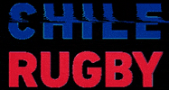 chilerugby chilerugby loscondores GIF