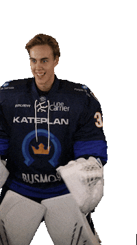 KiekkoEspooOfficial espoo mestis kiekkoespoo kivikova Sticker