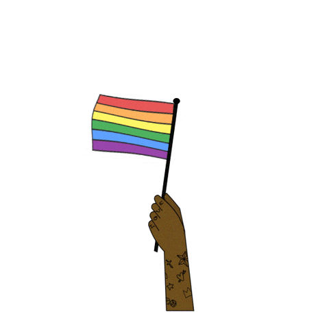 Kampania_Przeciw_Homofobii pride lgbt flag lgbtq GIF