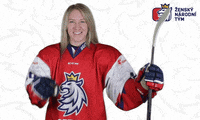 Celebration Hockey GIF by Národní tým