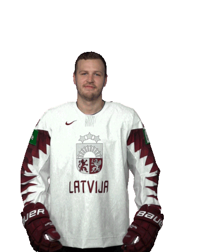 Be Quiet Ice Hockey Sticker by International Ice Hockey Federation