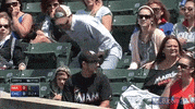 mia GIF by MLB