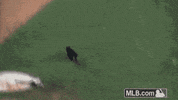 112 GIF by MLB
