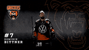 Ice Hockey GIF by Grizzlys Wolfsburg