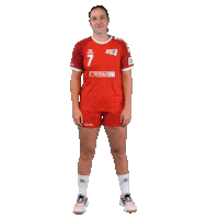 Schweiz Sticker by Swiss Handball