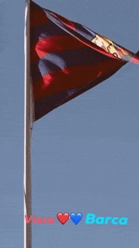 Nou Camp Flag GIF