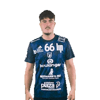 France Celebration Sticker by GRAND BESANÇON DOUBS HANDBALL