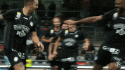 Soccer Celebrate GIF by SK Sturm Graz